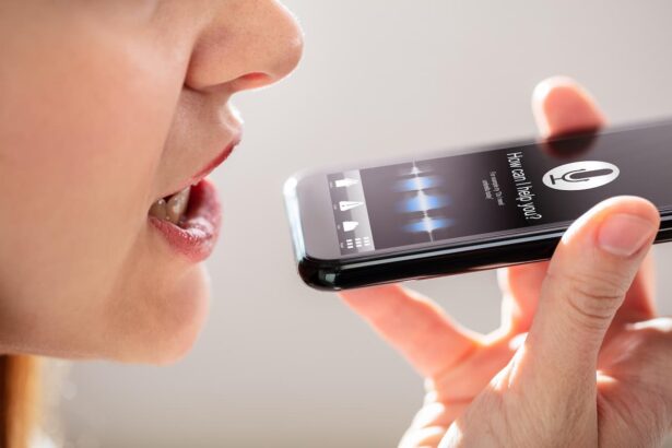 logiciel vocal remover