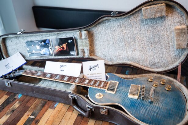 Gibson Les Paul The Paul: histoire, cote et vrai intérêt