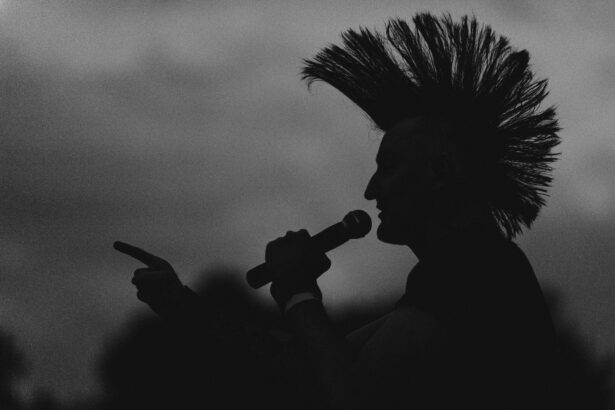 Chanteur de System of a Down : Serj Tankian, voix, textes et parcours